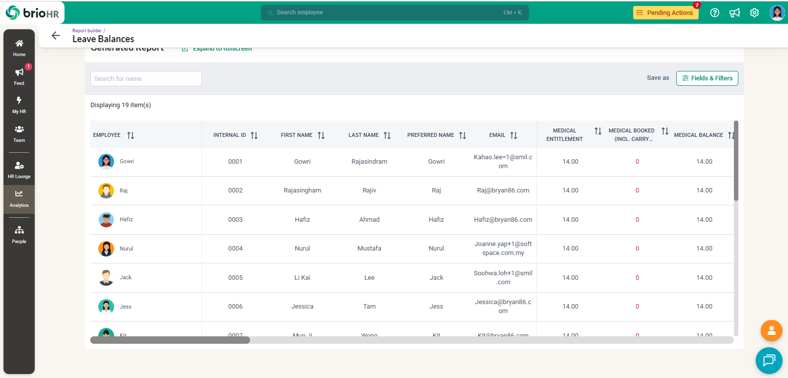 brioHR custom report builder and analytics